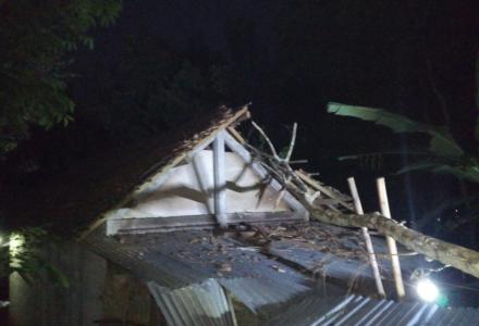 Pohon Tumbang Menimpa Rumah Paikin